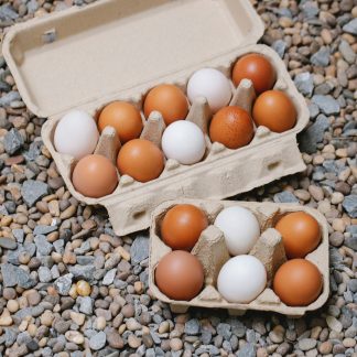 Huevos de gallina de patio